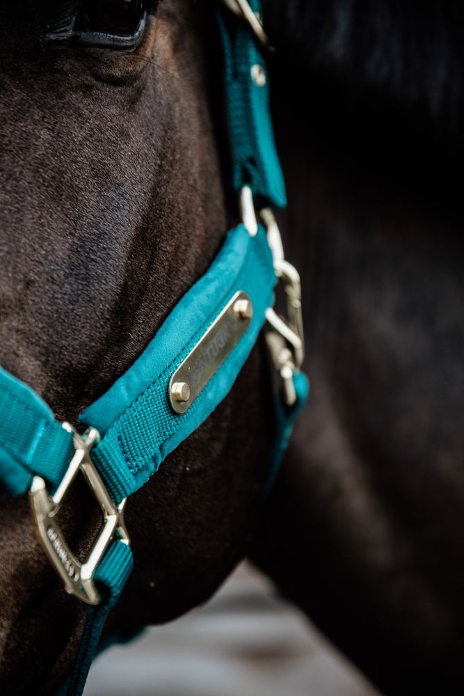 KENTUCKY® HORSEWEAR Velvet Halfter, smaragdgrün