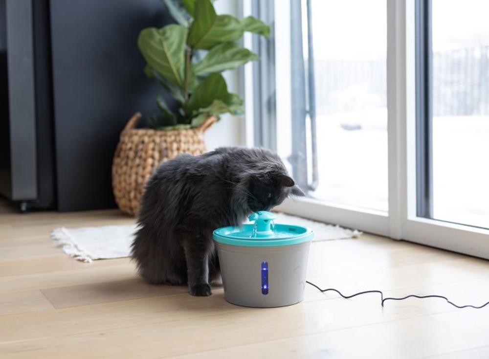 KERBL Trinkbrunnen für Katzen und kleine Hunde