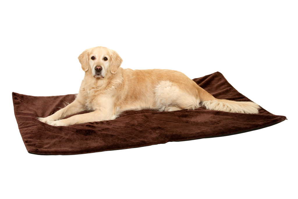 Thermo Top Hundedecke