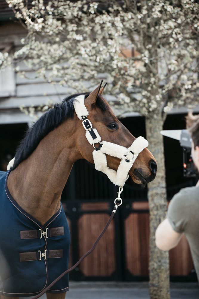 KENTUCKY® HORSEWEAR Lammfell Transport-Halfter, natur