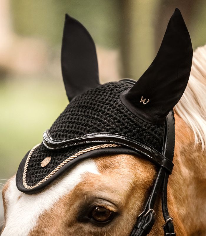 Schwarze Waldhausen Fliegenohren Modern Ros mit goldener Zierkordel und Logo in der Nahaufnahme am Pferd.