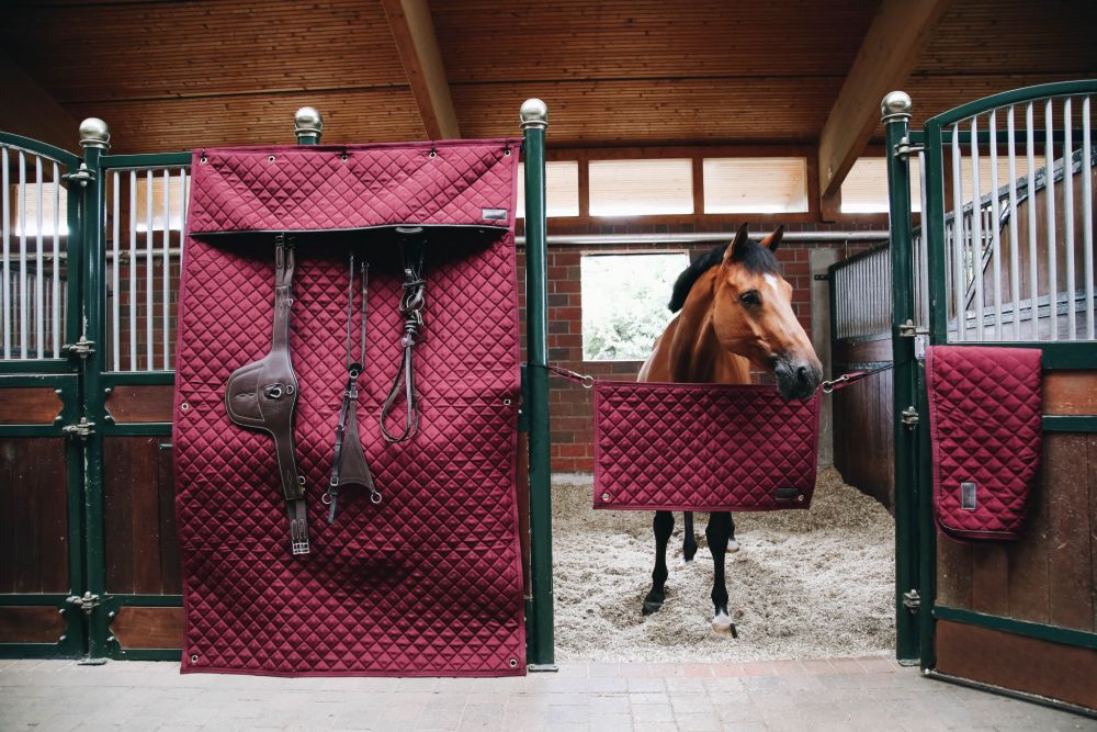 KENTUCKY® HORSEWEAR Stable Guard, bordeaux