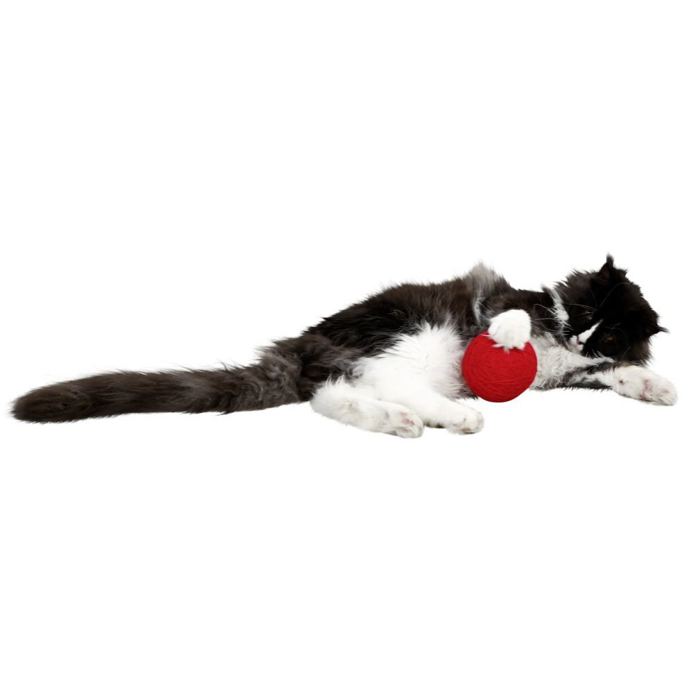 Wollspielball