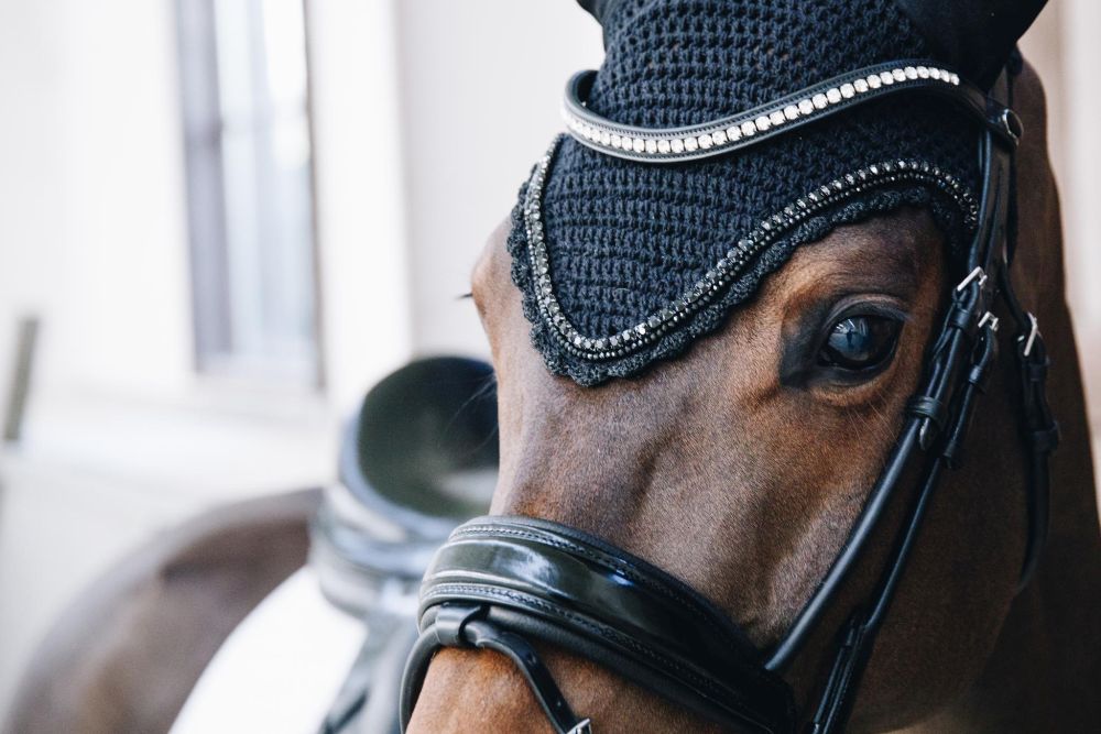 KENTUCKY® HORSEWEAR Fliegenhaube Stone & Pearl lang, schwarz