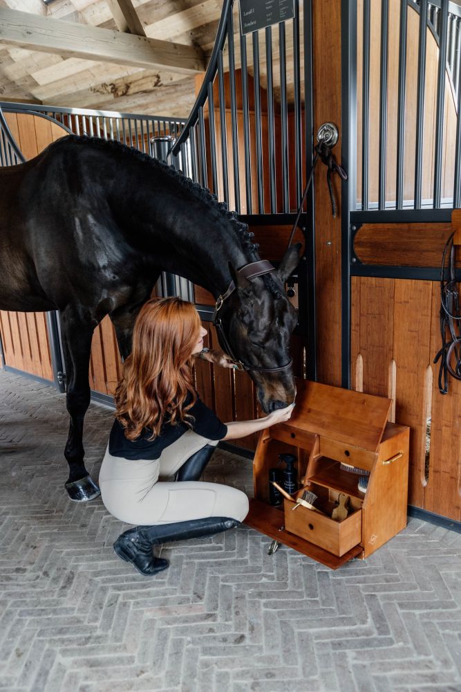 KENTUCKY® GROOMING DELUXE Show Grooming Box