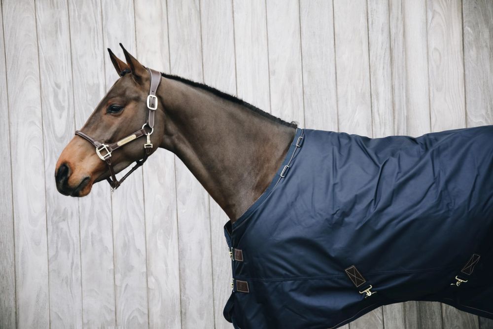 KENTUCKY® HORSEWEAR Weidedecke All Weather Waterproof Pro 300 g