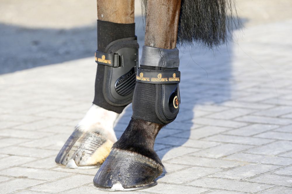 KENTUCKY® HORSEWEAR Tenton Grip Bandagenstrumpf Gel, 2er-Pack