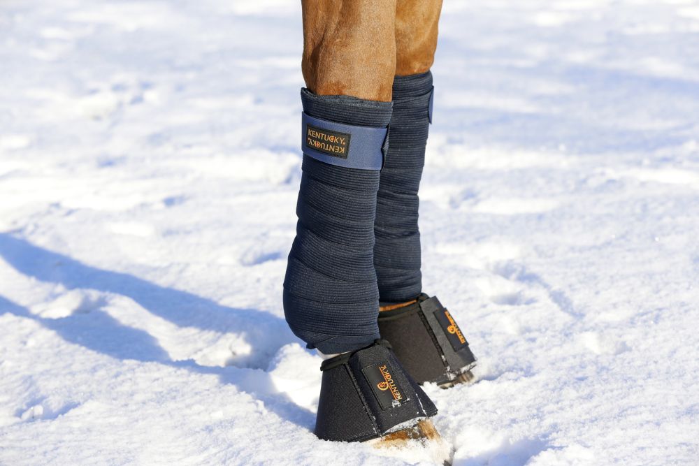 KENTUCKY® HORSEWEAR Hufglocken Solimbra