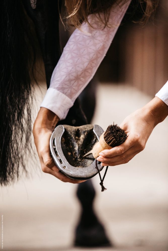KENTUCKY® GROOMING DELUXE Hoof Pick, klein