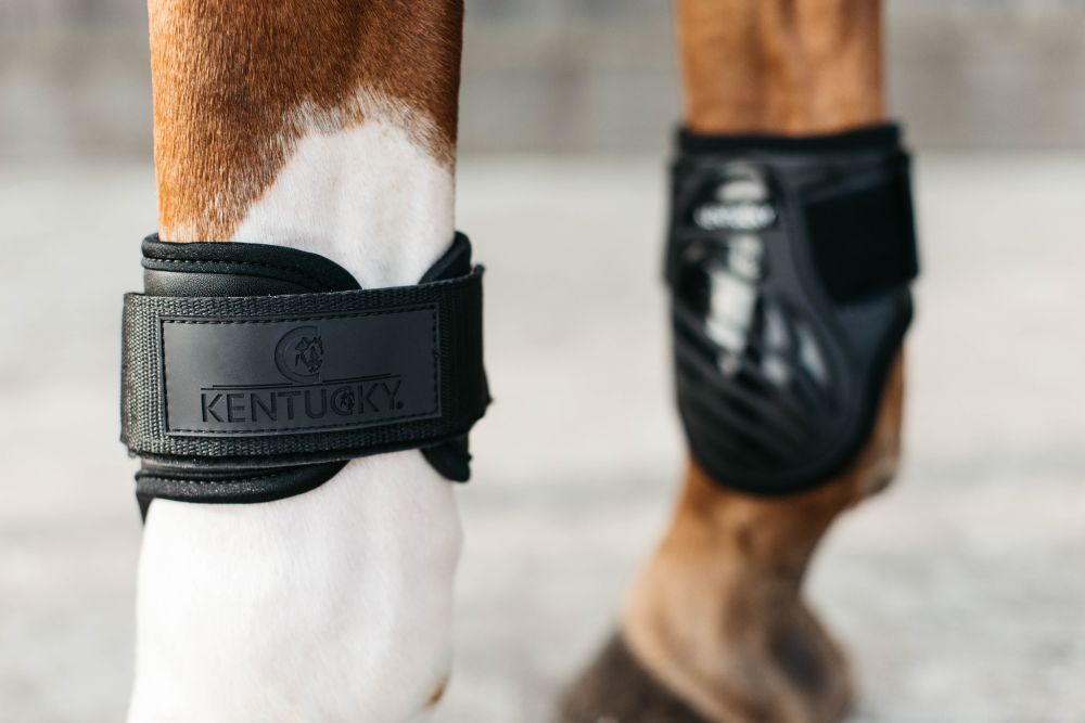 KENTUCKY® HORSEWEAR Streichkappe Young Horse, schwarz