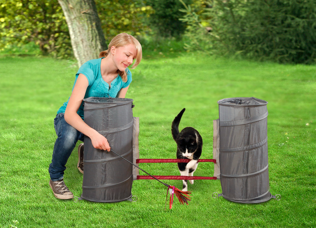 Cat Agility Set