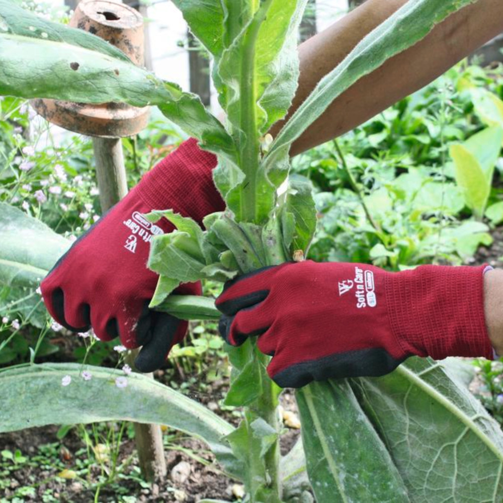Gartenhandschuh Soft N Care Landscape