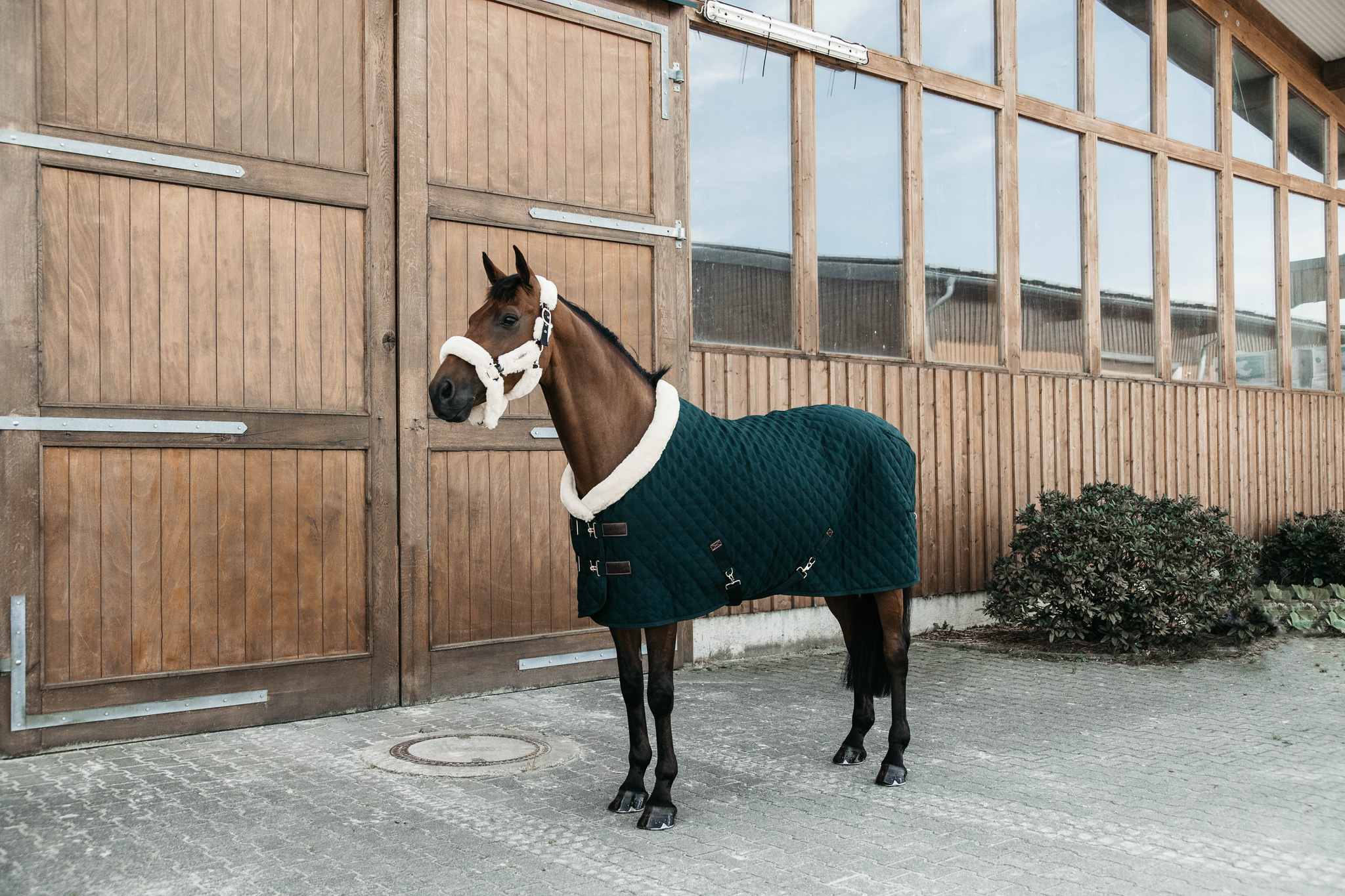 KENTUCKY® HORSEWEAR Turnierdecke, dunkelgrün