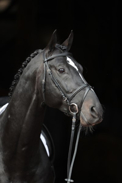 KERBL Trensenzaum Standard Leder, schwarz