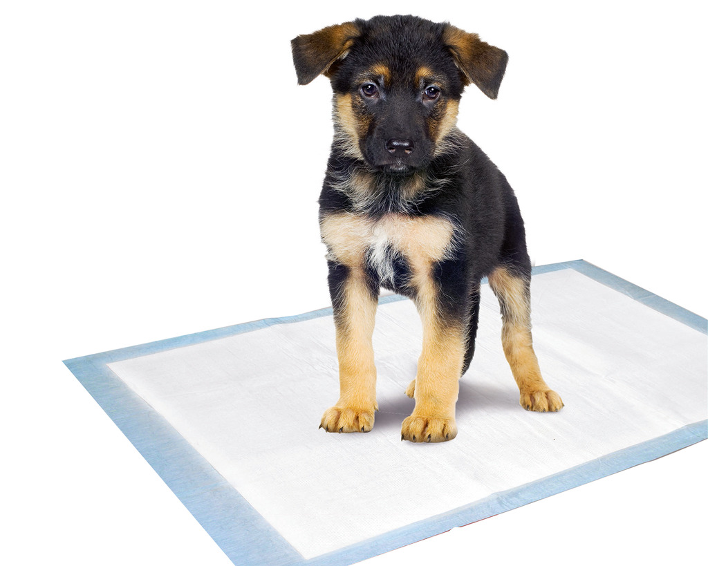 Puppy Pads Trainingsmatte