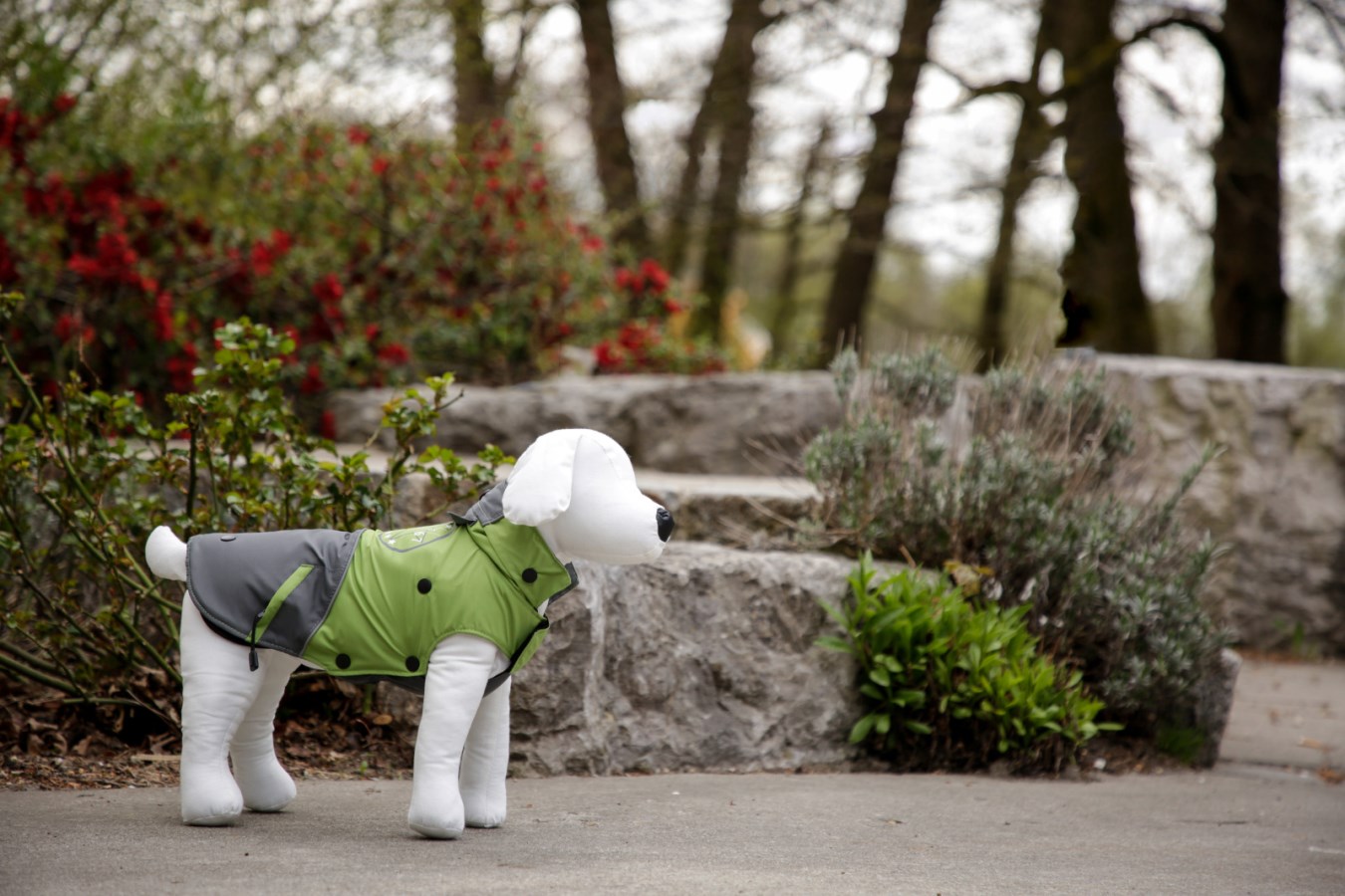 Grün-grauer Kerbl Hundemantel Vancouver mit schwarzen Knöpfen, getragen von einem Hundemodell im Park.