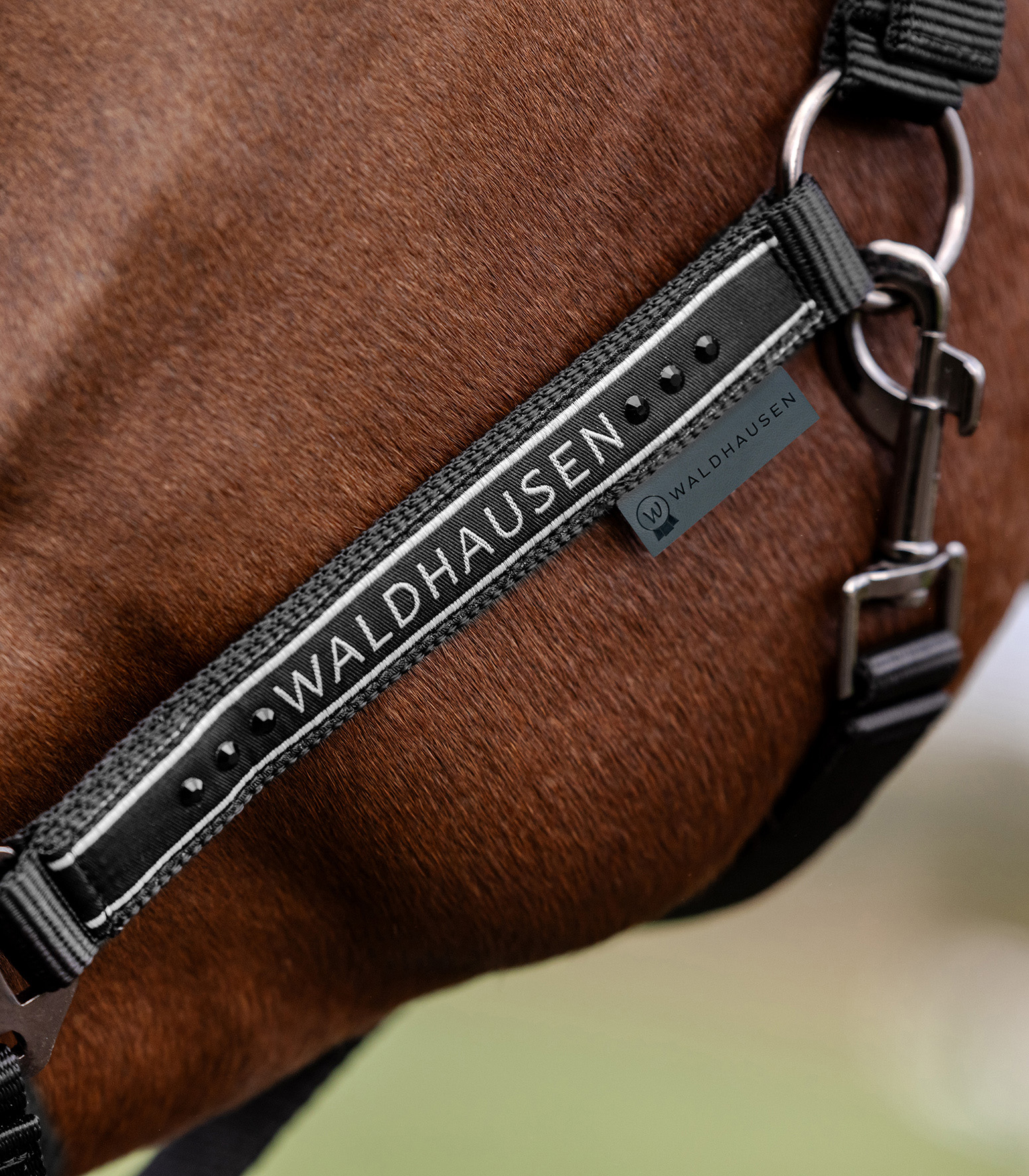 WALDHAUSEN Halfter Elegant, schwarz/schwarz