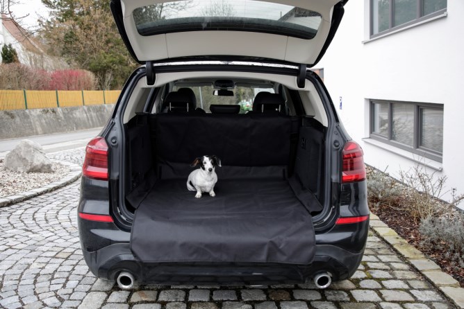 KERBL Auto-Schondecke Kofferraum Economy