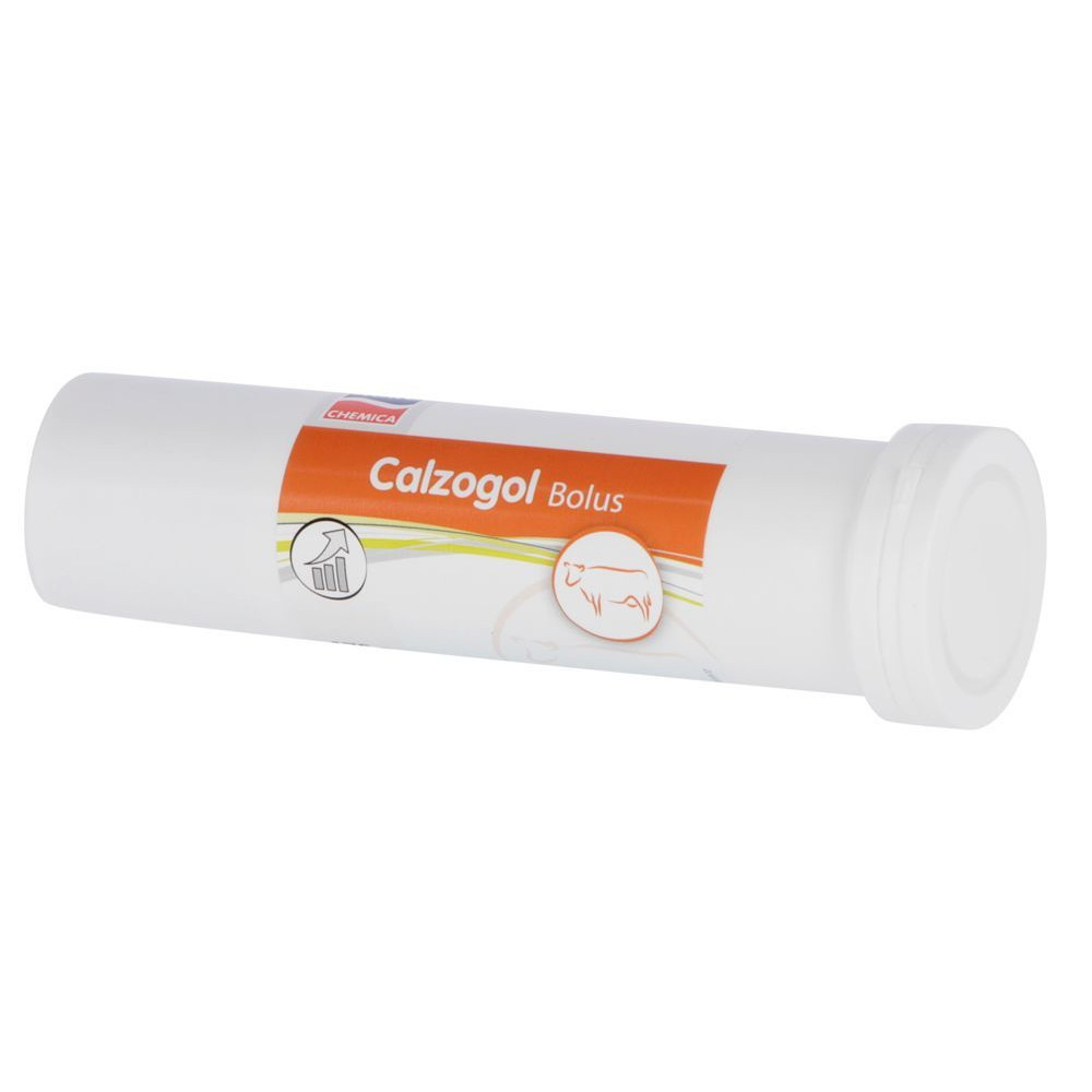 Calzogol Bolus Kalzium-Bolus (Milchfieber)