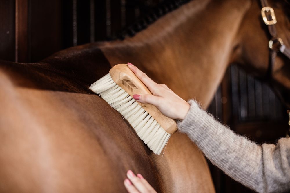 KENTUCKY® GROOMING DELUXE Body Brush Middle Soft