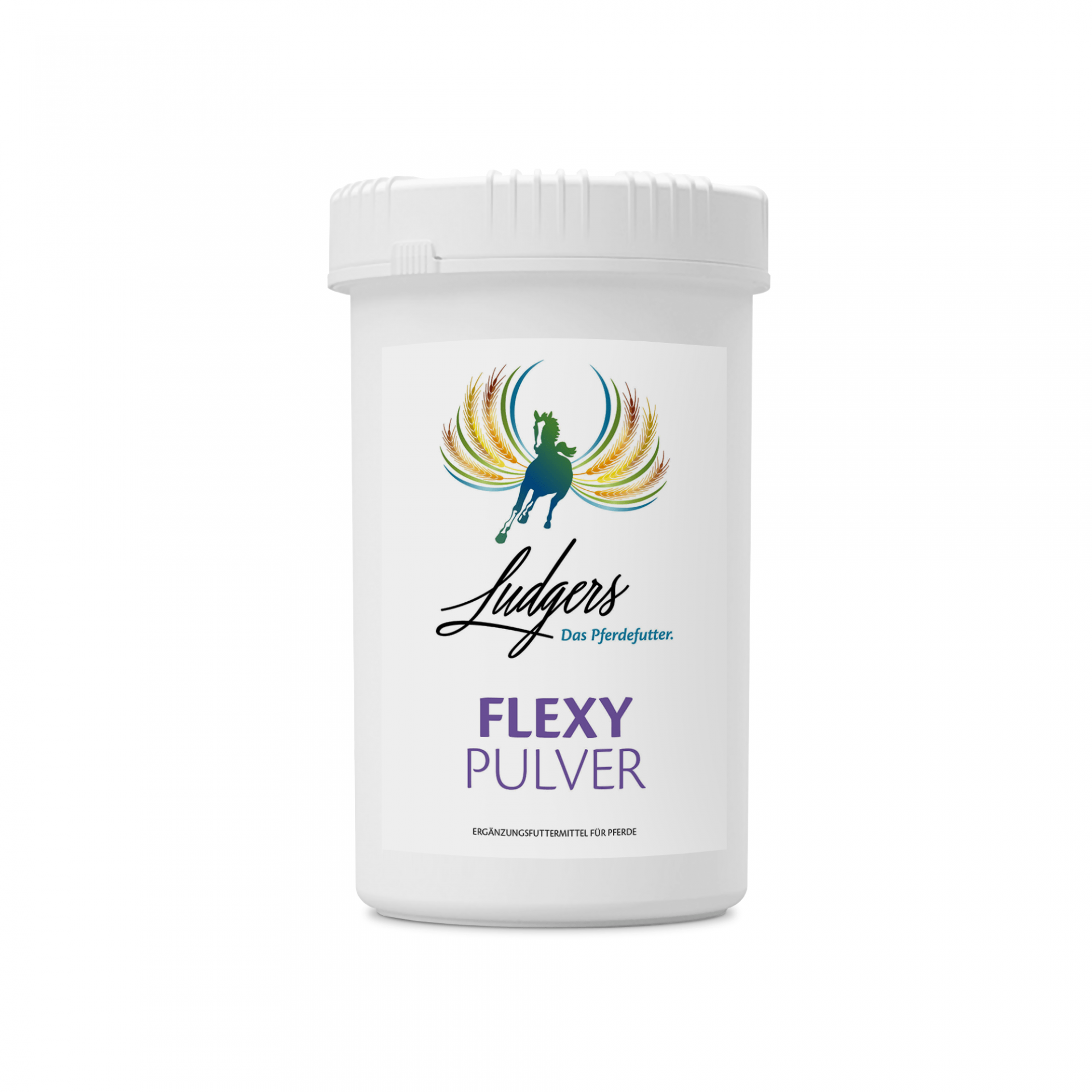 LUDGERS N FLEXY | PULVER