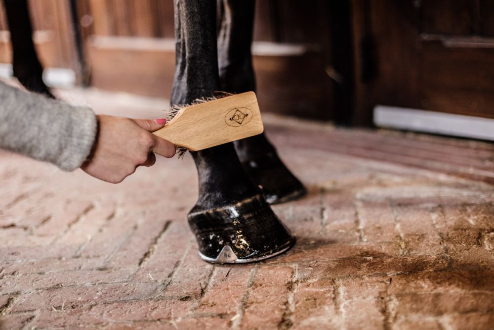KENTUCKY® GROOMING DELUXE Hoof Brush