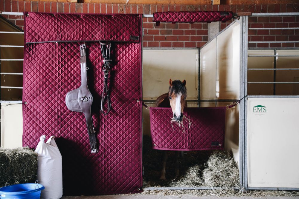 KENTUCKY® HORSEWEAR Head Protector, bordeaux