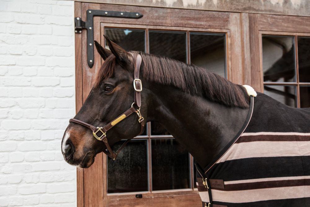 KENTUCKY® HORSEWEAR Abschwitzdecke Heavy Fleece, Stripes