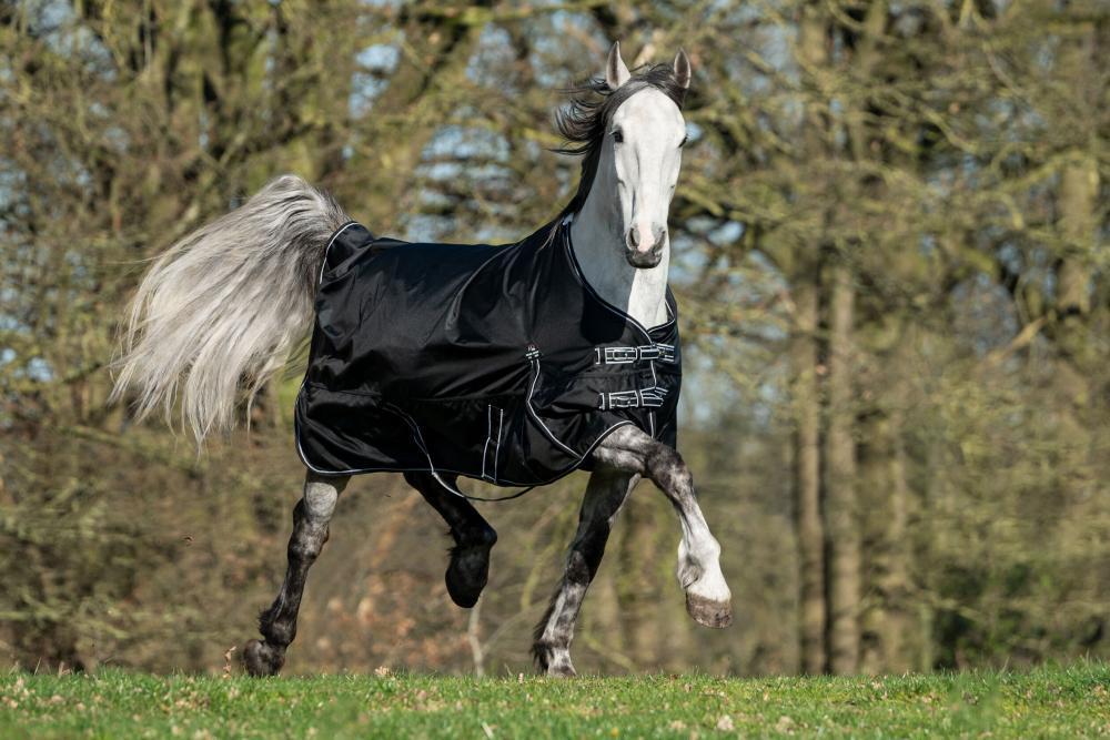 HKM Weidedecke Premium - 1680D mit Teddyfellfutter und 300 g Füllung, schwarz Ein Schimmel galoppiert mit der schwarzen HKM Weidedecke Premium mit 300g Teddyfellfutter über eine grüne Wiese.