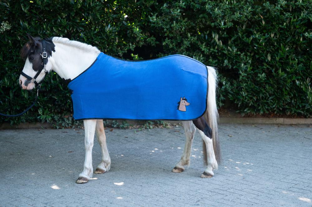 HKM Abschwitzdecke Mia für Shetty, blau Ein Schecke trägt die dunkelblaue HKM Abschwitzdecke Mia aus Fleece mit schwarzer Einfassung und Pferdekopf-Applikation.