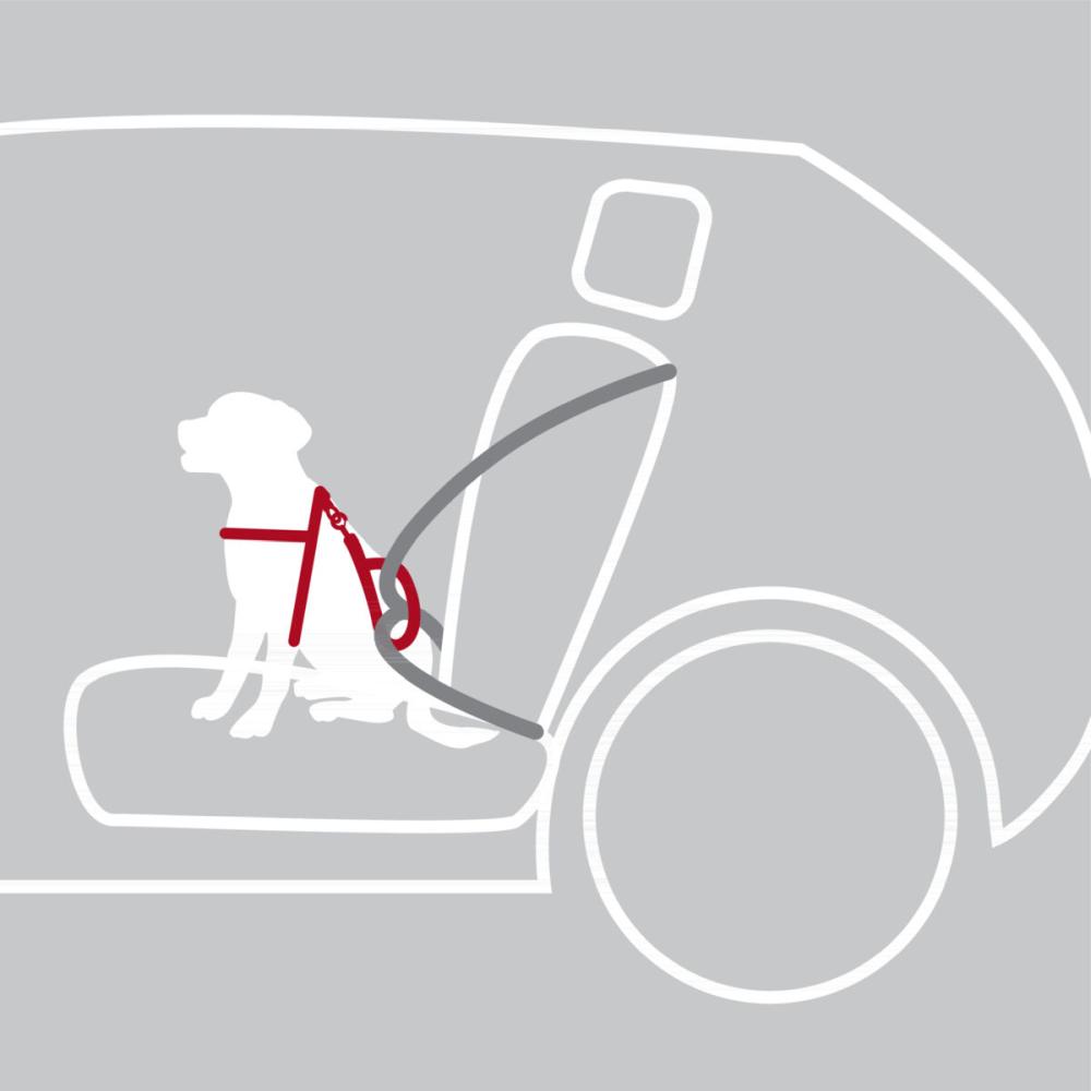 TRIXIE Auto-Sicherheitsgeschirr Dog Protect