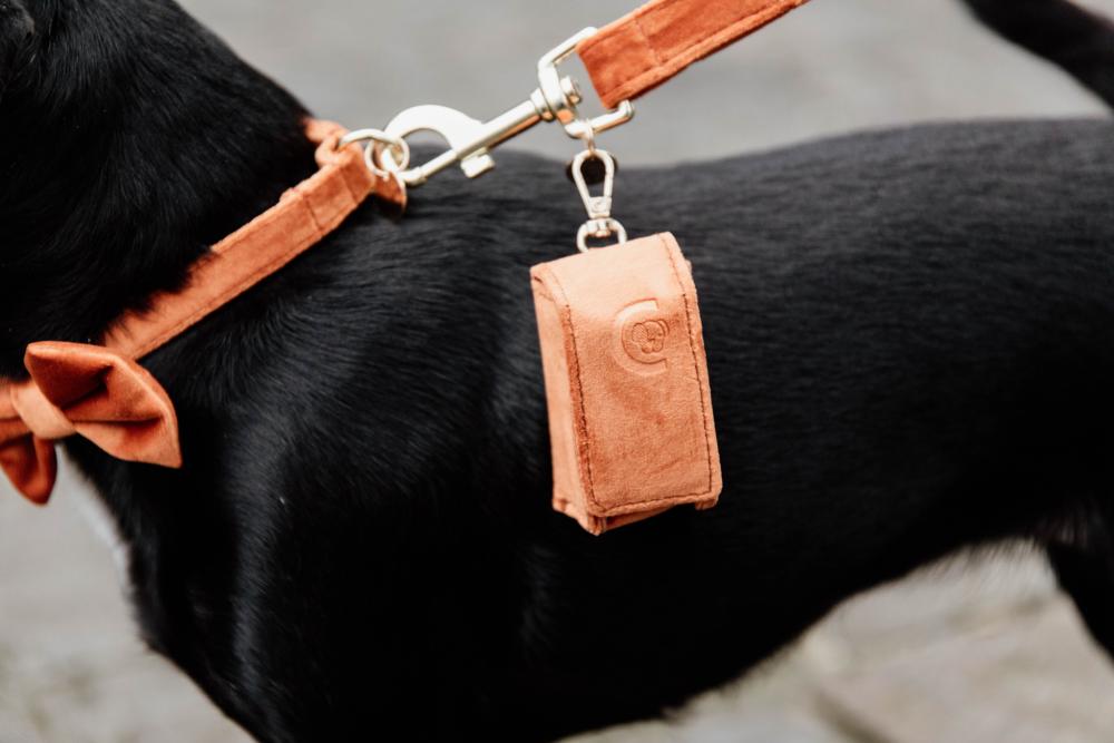 KENTUCKY® DOGWEAR Hundekotbeutelhalter Square, orange