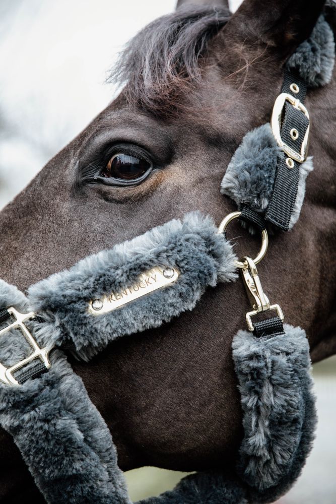 KENTUCKY® HORSEWEAR Lammfell Transport-Halfter, grau