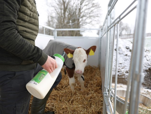 KERBL Kälberflasche MilkyFeeder, 4 l