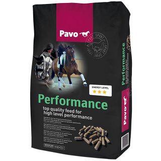 PAVO Performance