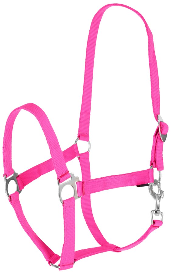 KERBL Nylonhalfter Hippo, XFull