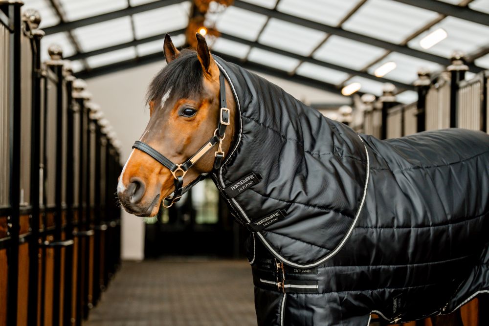 HORSEWARE® Easy-Layer Stable Hood, 100 g, black/black & silver