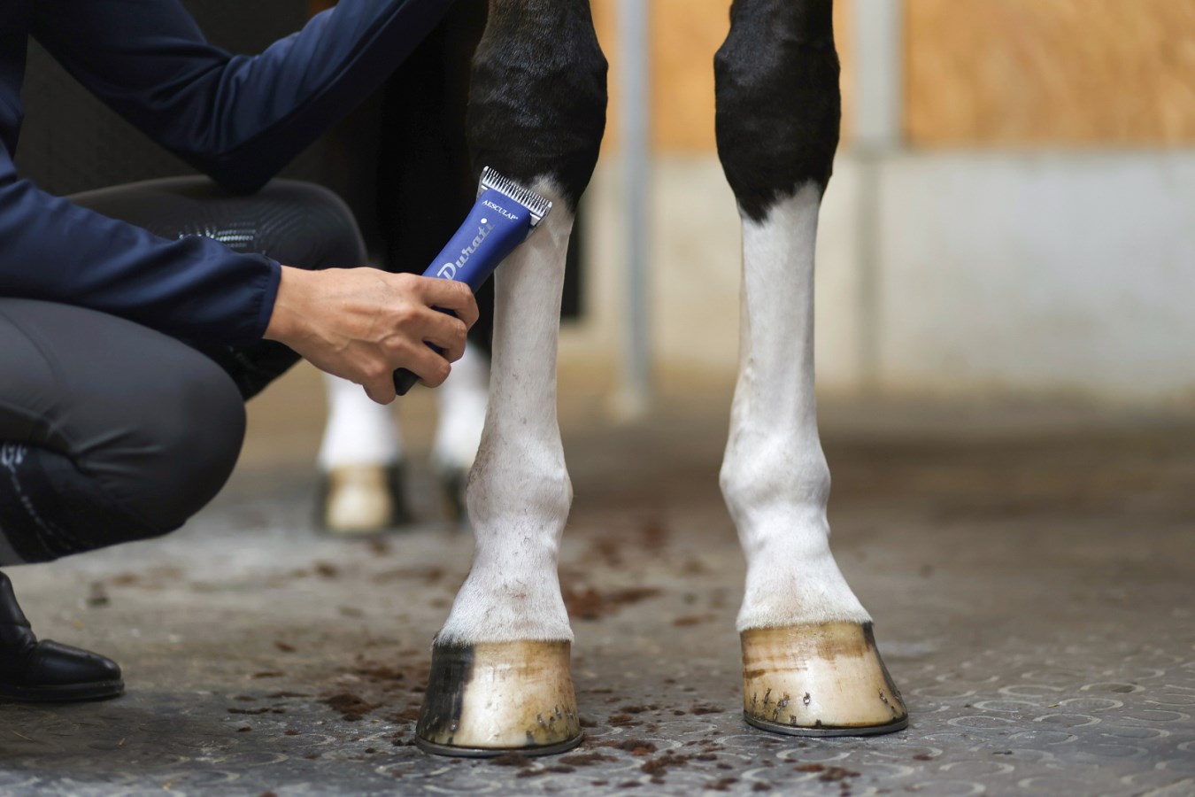 Nahaufnahme der blauen AESCULAP Akkuschermaschine Durati Horse beim präzisen Scheren eines Pferdebeins im Stall
