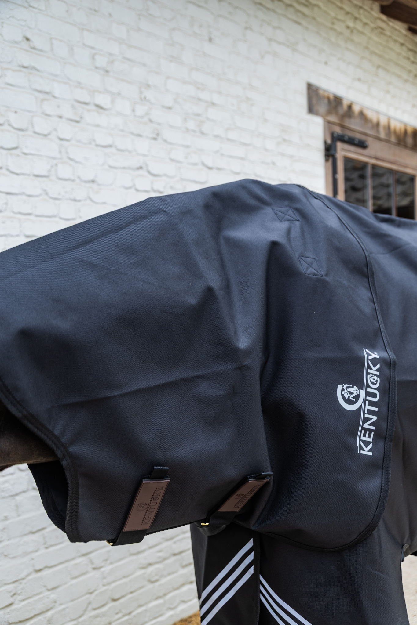 KENTUCKY® HORSEWEAR Halsteil wasserdicht All Weather Comfort 0g, schwarz Seitliche Ansicht des schwarzen, wasserdichten Halsteils All Weather Comfort mit Kentucky Logo auf dem Pferd.