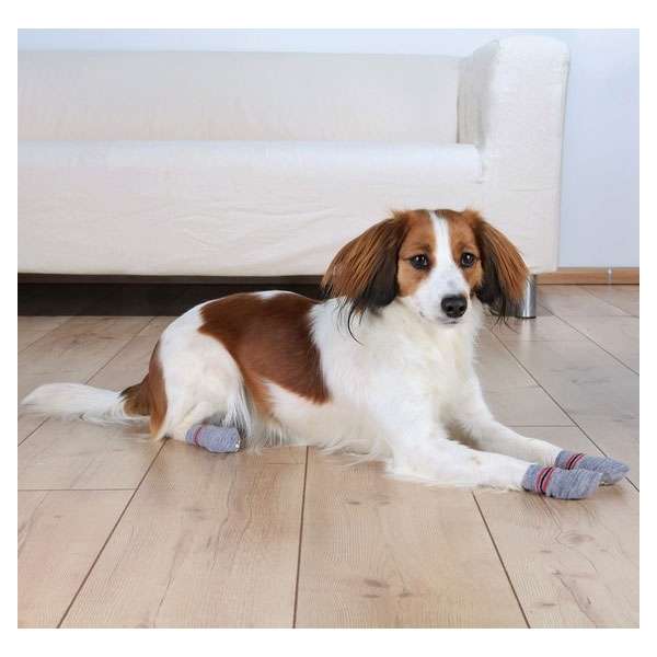 Trixie Hundesocken in Grau