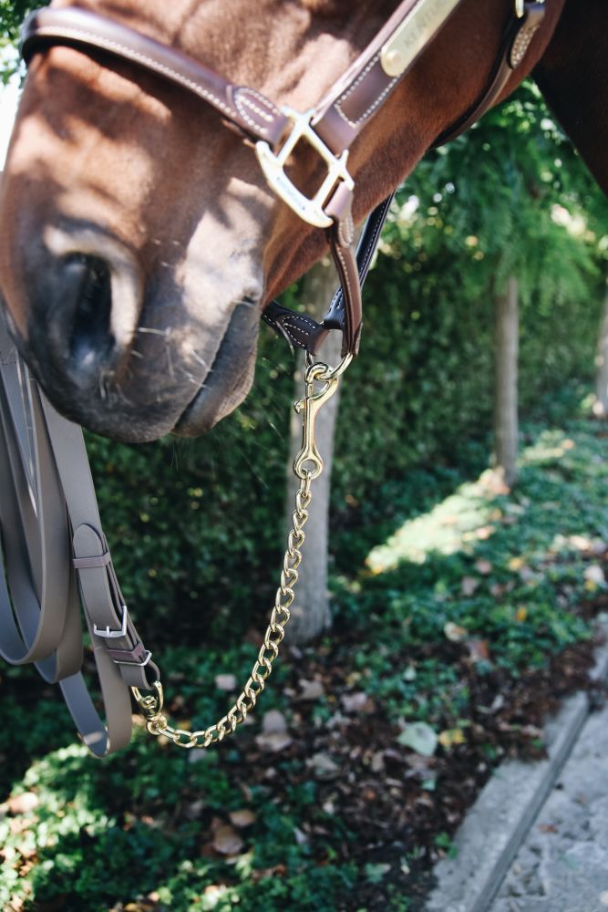 KENTUCKY® HORSEWEAR Hengstkette