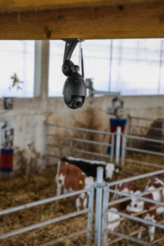 KERBL IPCam 360 FHD