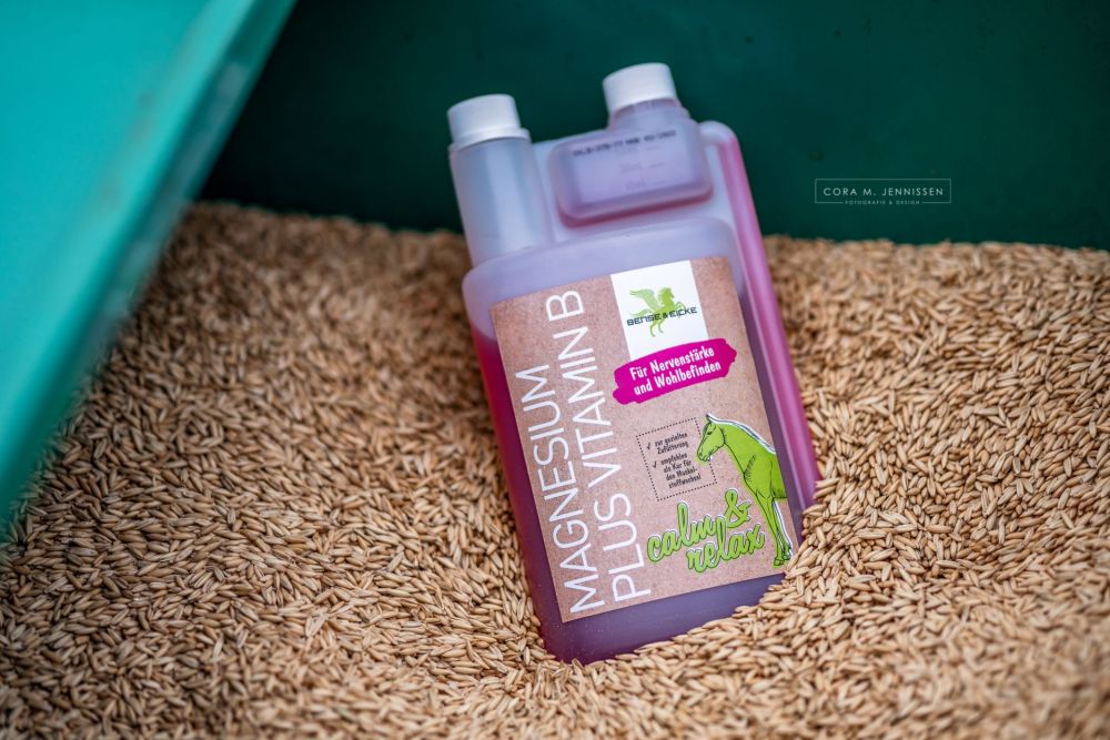BENSE & EICKE MAGNESIUM PLUS VITAMIN B