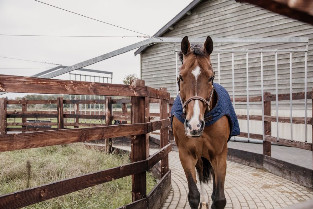 KENTUCKY® HORSEWEAR Walker Rug