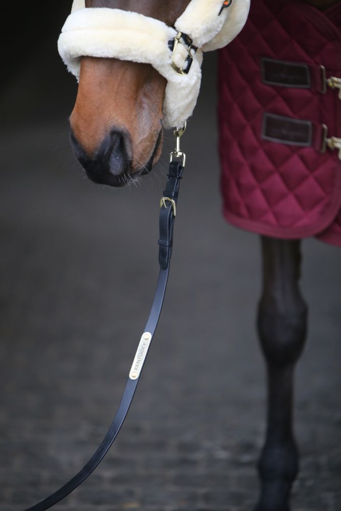 KENTUCKY® HORSEWEAR Vorführstrick 