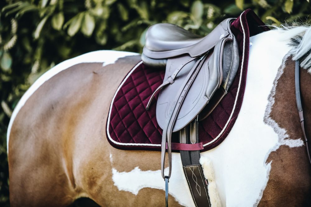 KENTUCKY® HORSEWEAR Schabracke Cord Springen, bordeaux