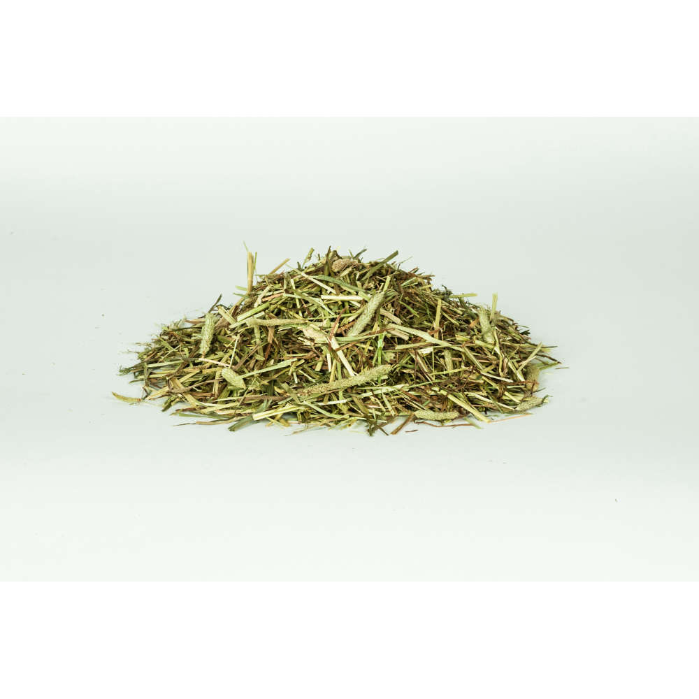 DERBY® TIMOTHEE-GRAS Pur