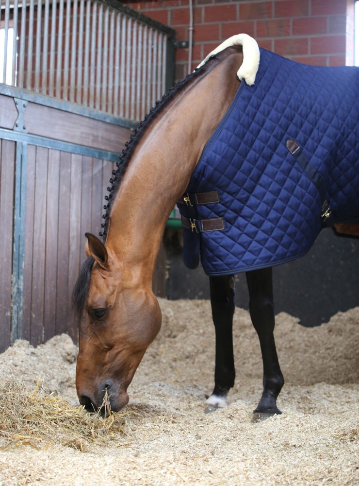 KENTUCKY® HORSEWEAR Stalldecke 200 g