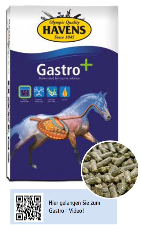 HAVENS GASTRO+