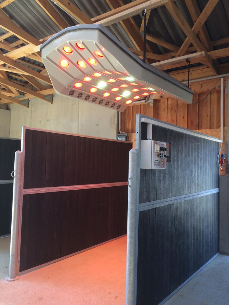 SUMMERWIND Pferdesolarium Premium mit Steuerungskasten und Lift